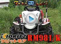¶¦Î© ¾èÍѥ⥢ RM981/K¡¡»³Íü¸©Ç¼ÉÊÊÔ