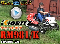 ¶¦Î© ¾èÍѥ⥢ RM981/K¡¡»³Íü¸©Ç¼ÉÊÊÔ 90ÉÃCM