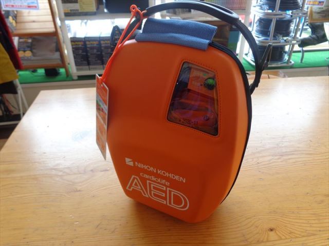 AED-3100-2